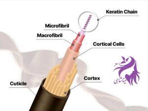 کراتین طبیعی مو (Keratin) چیست