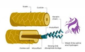 کراتین طبیعی مو (Keratin) چیست